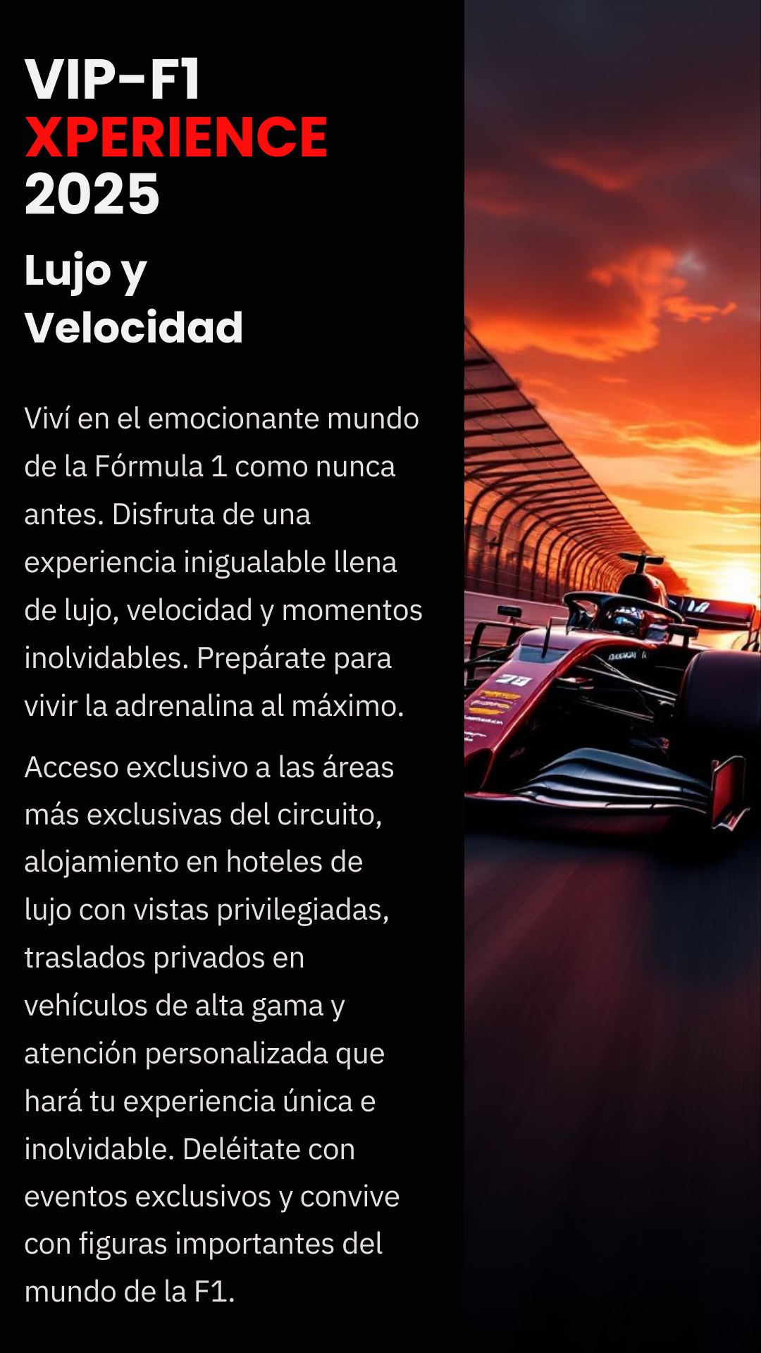 VIP F1 XPERIENCE