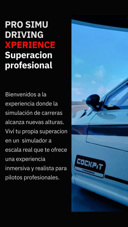 PRO SIMU DRIVING XPERIENCE