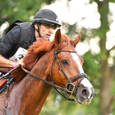 Cambox V4 Pro Gold - INFINITY+