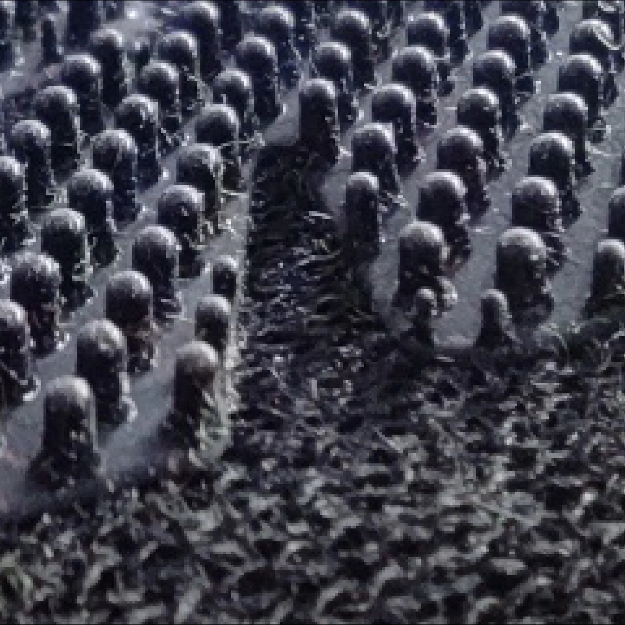 GUANTES OMP ONE EVO X BLACK AND FLUOR