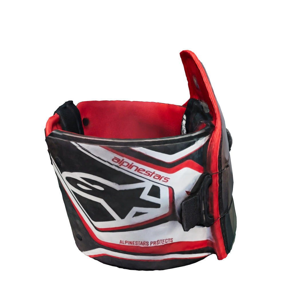 PROTECTOR ALPINESTARS AK-1