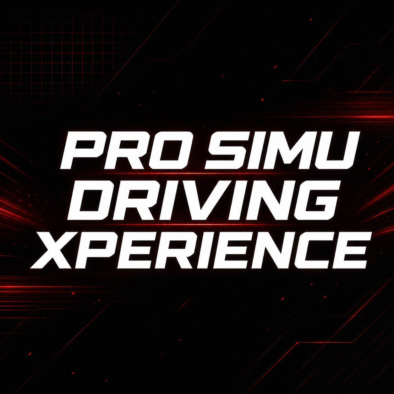 PRO SIMU DRIVING XPERIENCE